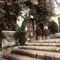ealdoi