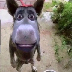 des1rehaha