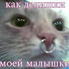 Sadertyi