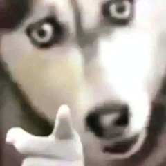 TheKoyz