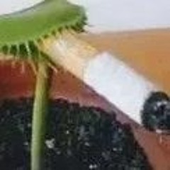 Rogalinio2115