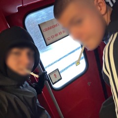 1309vv