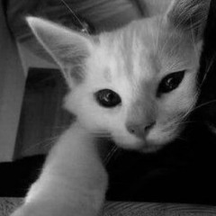 Hà Nguyễn Phương Linh