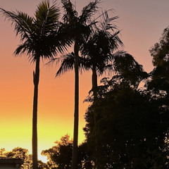 DLN (say it quickly)