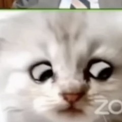 doobster7