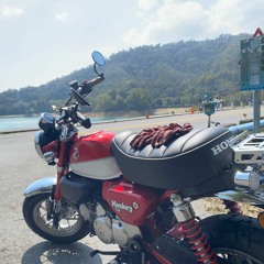 染羽