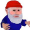 The Gnome