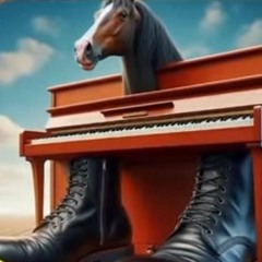 Ecco Cavallo Virtuoso