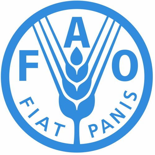 FAO en Colombia’s avatar