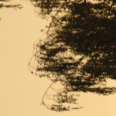 Krea