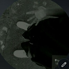 4sm_ray