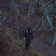 🌻where are u now?