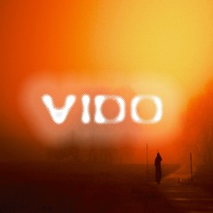 V1DO