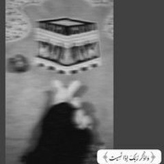 جهاد أحمد.