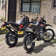 Maxxy173