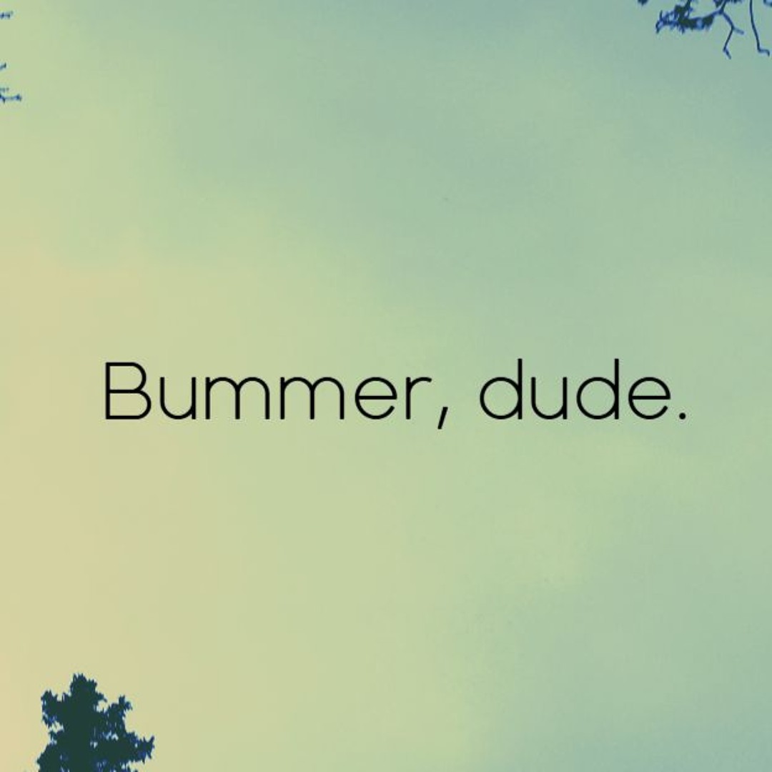 Stream Bummer, dude. music | Listen to songs, albums, playlists for ...