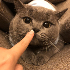 Linhbuoniar