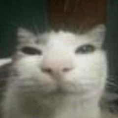 𝔭𝔯𝔢𝔰𝔱𝔦𝔤𝔢