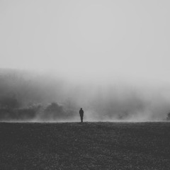 Ben Laver