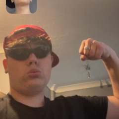 svdnb