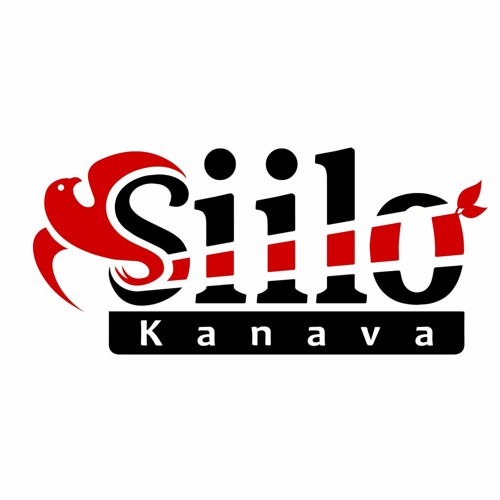 Siilo kanava’s avatar