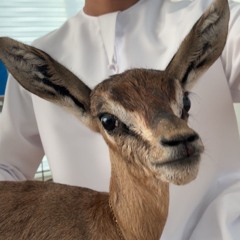 almualla