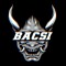 Bacsi