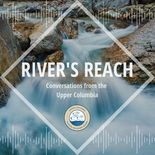 River's Reach Podcast Series’s avatar