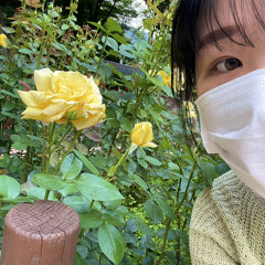 이수연
