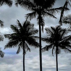 Asiya Abeer  Riyaz 🍁