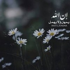 ام عمار