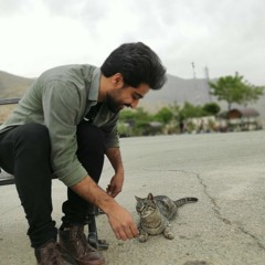 Hojjat Mashayekh.