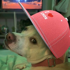 Pink Butterfly Beats