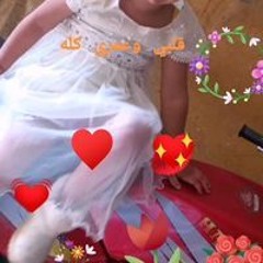 السيد على سلام