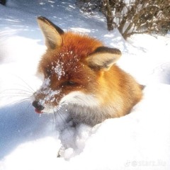 C:\Users\isabelle\moosic