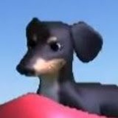 wisdomdog