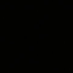 2_shiesty