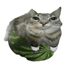 ⠀⠀⠀⠀⠀⠀⠀⠀⠀⠀⠀⠀⠀⠀⠀⠀⠀⠀⠀⠀⠀⠀⠀⠀⠀⠀⠀⠀⠀⠀⠀⠀⠀⠀⠀⠀⠀⠀⠀⠀⠀⠀⠀⠀⠀⠀⠀⠀⠀⠀