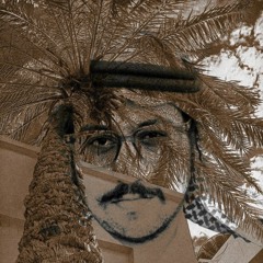 سلمان أمين