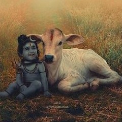 ranjani ganapathi