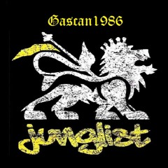 Stream Reggae Jungle Drum and Bass Mix #8 New 2022 by gascan1986 | Listen  online for free on SoundCloud