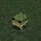 TinyFrog
