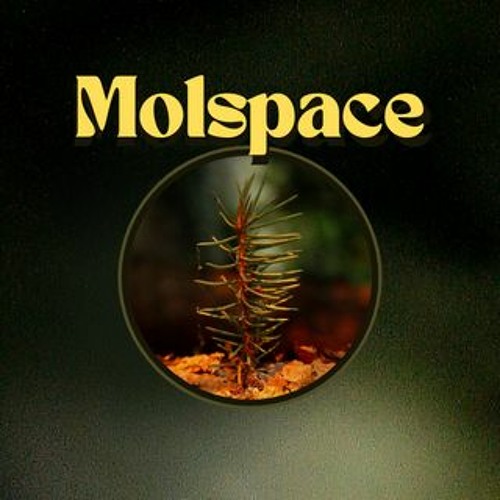 Molspace’s avatar