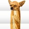dogsound