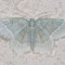 makura