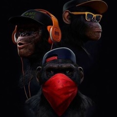 Copy of Daily Drops