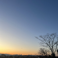紲