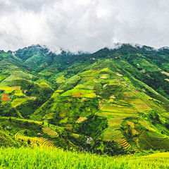 Ngô Lợi