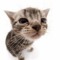 lunaaaw