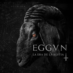 EggvnOfficial